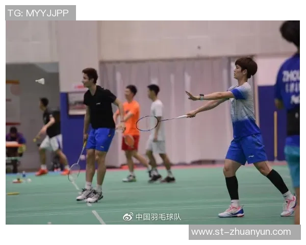 南京羽毛球队逆袭之路：挑战赛中的拼搏与荣耀之旅